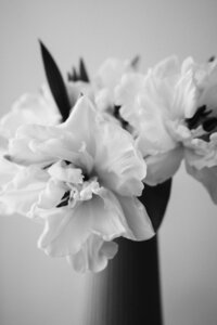 pexels-albina-white-11334858