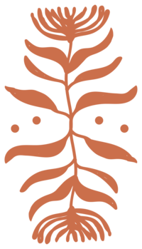 Brand illustration for Vancouver Counselling Practice Head and Heart Inc.
