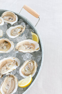 Half shell oysters on ice