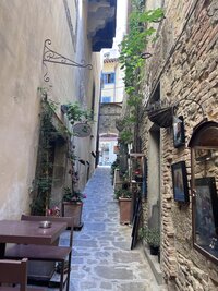 European city walkway with greenery