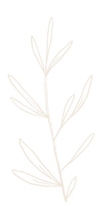 branch illustration