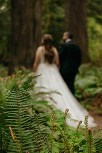 bride and groom walking through ferns