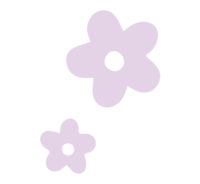 GROWHUNNY-daisy-purple