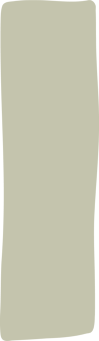 mindset coaching program