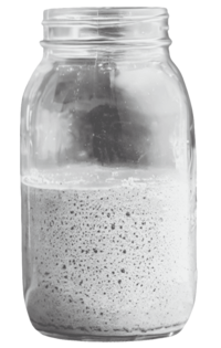 jar of sourdough starter
