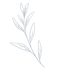 A part of Elizabeth Rose Lifestyle & Integrative Wellness Logo that includes a tree branch