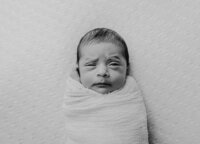 Studio newbornshoot door award winning newborn fotograaf Danielle Jentjens