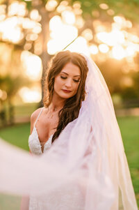 A beautiful bride with her veil surrounding her during sunset on her wedding day in Orlando, Florida at Ever After Farms.