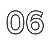 number 06