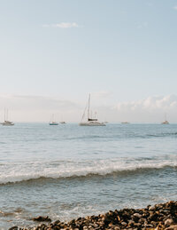 A tranquil seaside scene with several sailboats on a calm ocean. Gentle waves lap against the rocky shore under a clear blue sky, conveying serenity.