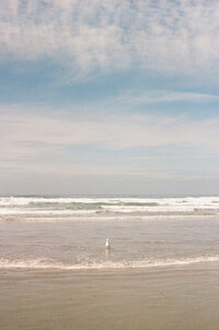 Photo of Oregon Coast captured using film photography.