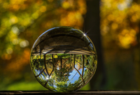 A glass sphere shows reflective balance in nature.