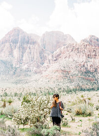 RedRockCanyon2017-31