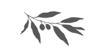 *Final Logo Work March 2020_olive branch fill