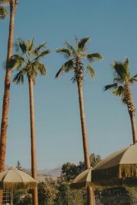 pexels-casa-lalla-takerkoust-2150099384-31371141