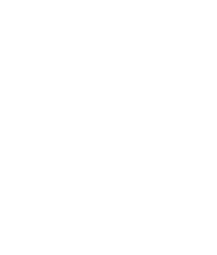 rose2 - white