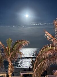 A serene sunset view featuring a lifeguard tower and palm trees, perfect for a romantic wedding setting by the beach.