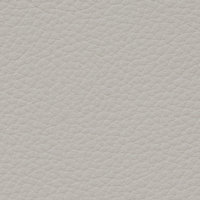 Leather-Standard-Mist