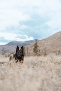 ktgphotography-1