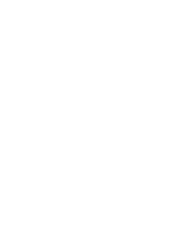 hand illustrated flowers