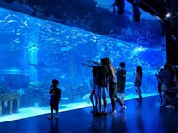 Global snapshots from expat life, featured in the Postcards from Everywhere travel series on Leaving Main Street blog