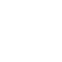 LinkedIn Icon - White