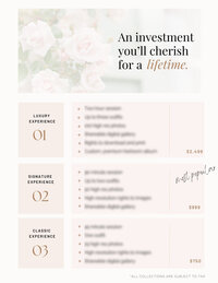 09.2 Portrait Pricing Guide Three Price Model