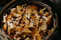 Mushrooms 