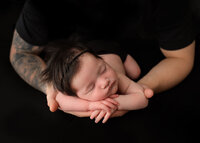 Image of Family at Studio Newborn Photography Session by Hobart Newborn Photographer Lauren Vanier