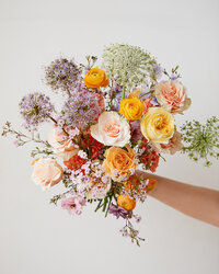 022324 - UltraViolet Flowers0162