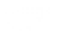 Google Reviews Logo in White
