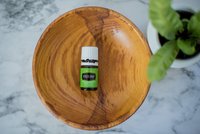 YL photos 2.21.18-51