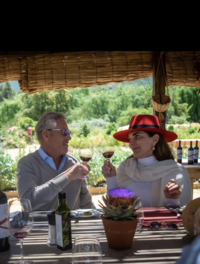 two_weeks_food_and_wine_argentina_and_chile-trip_itinerary-vik-chile