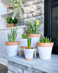 flower pots on a fireplace hearth
