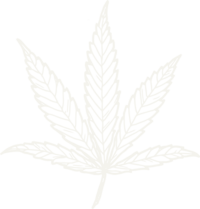 Smoke Cannabis Leaf