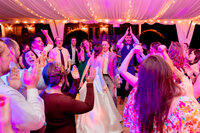 Great Fall Virginia Backyard Wedding in the Spring in DC