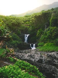 nathan-ziemanski-hjW4o5XfCzc-unsplash(5)