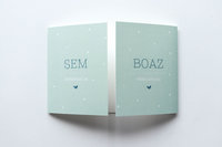 Lief rustig mintgroen geboortekaartje tweeluik Sem & Boaz