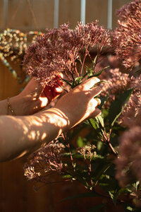 girl picking flowers with sunlight on her hands 