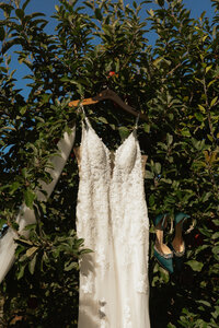 wedding dress hanging from a tree