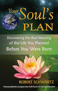 YOUR SOULS PLAN BY ROBERT SCHWARTZ