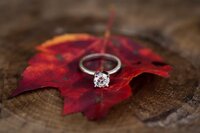 berkshire-fall-engagement-western-massachusetts-ring-leaf
