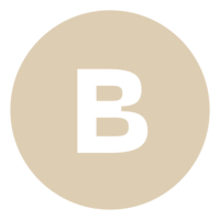 Boundless Movement logo