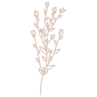line drawing of floral