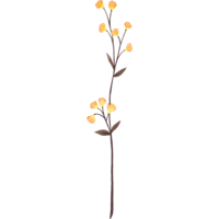 Wild flower graphic with yellow buds