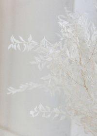 Bride and groom walk up memorial steps at their DC wedding