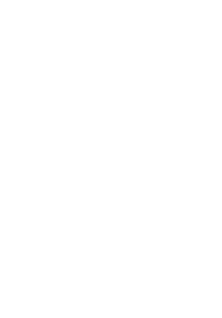 Decorative Olive Branch