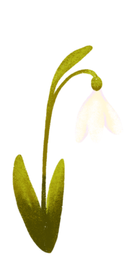 Floral_Illustration