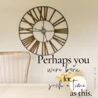 interior design Photography-7