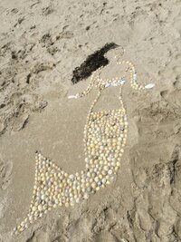 Soul Retreat California womens wellness and spiritual retreat experience woman on beach